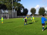S.K.N.W.K. JO11-1JM - Colijnsplaatse Boys JO11-1 (competitie) seizoen 2022-2023 (najaar - 1e fase)) (16/69)